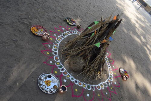 Holi Celebration