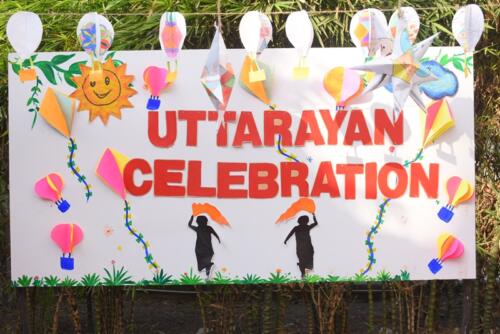 Uttarayan Celebration